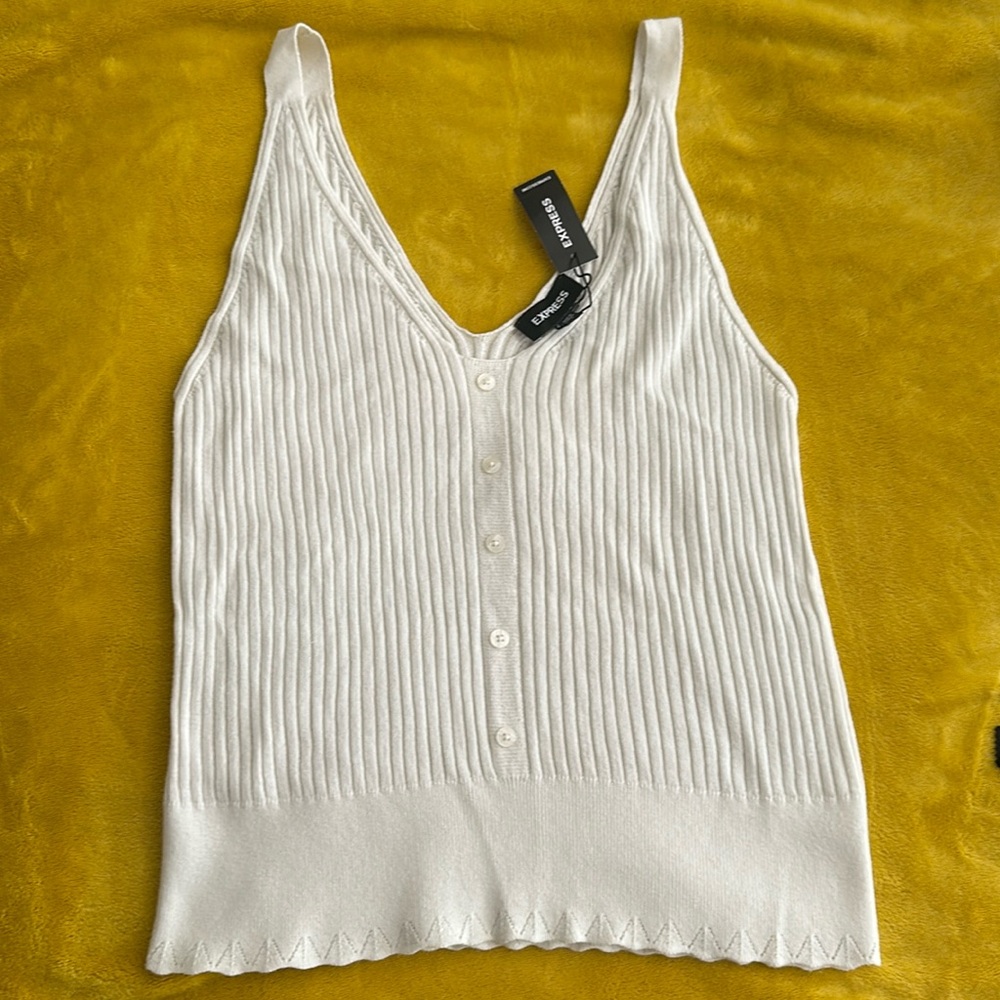 NWT Express Sweater Sleeveless Top. Size Large